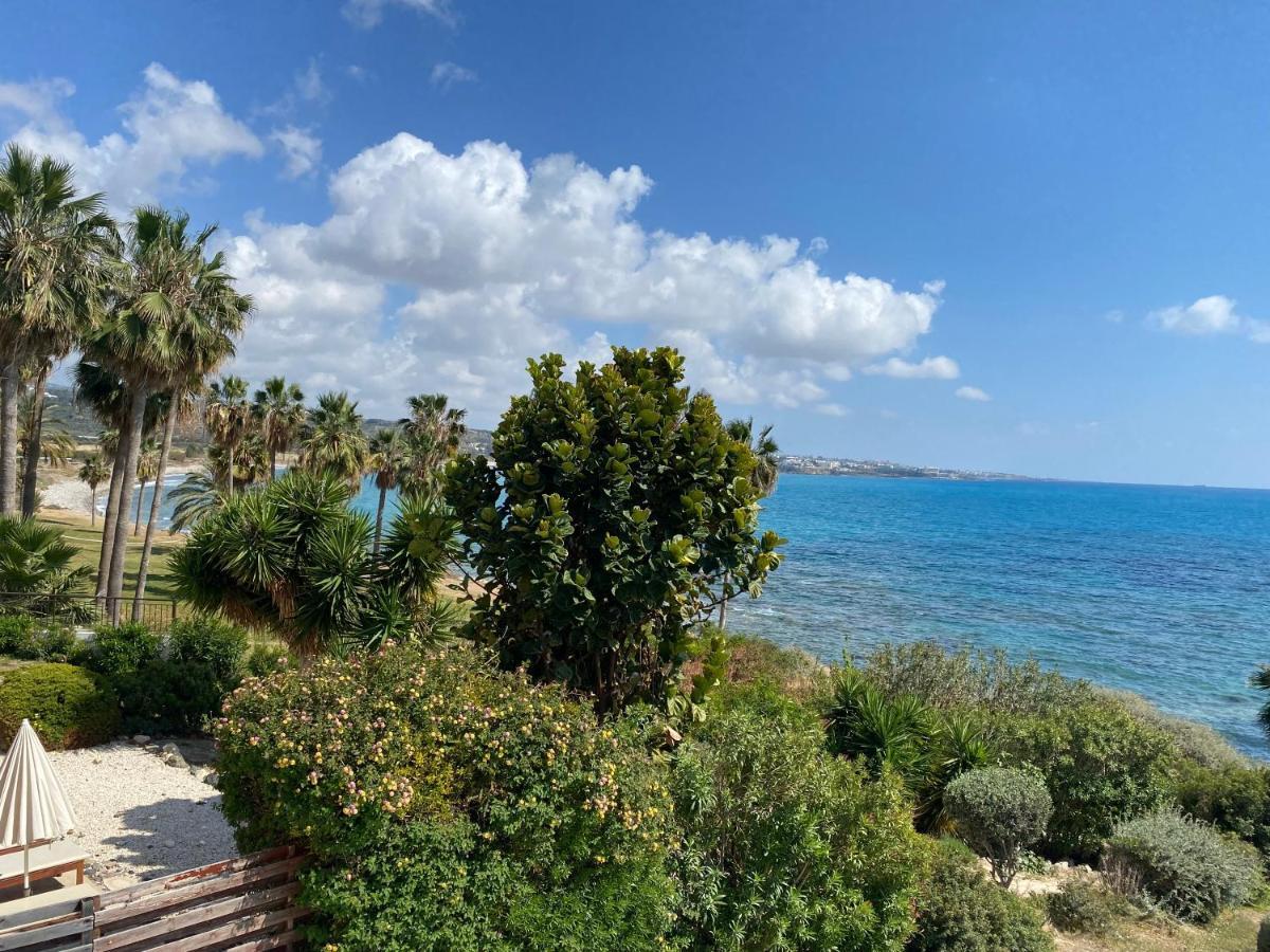 Amazing Front Line Villa In Coral Bay Pegeia Exterior foto